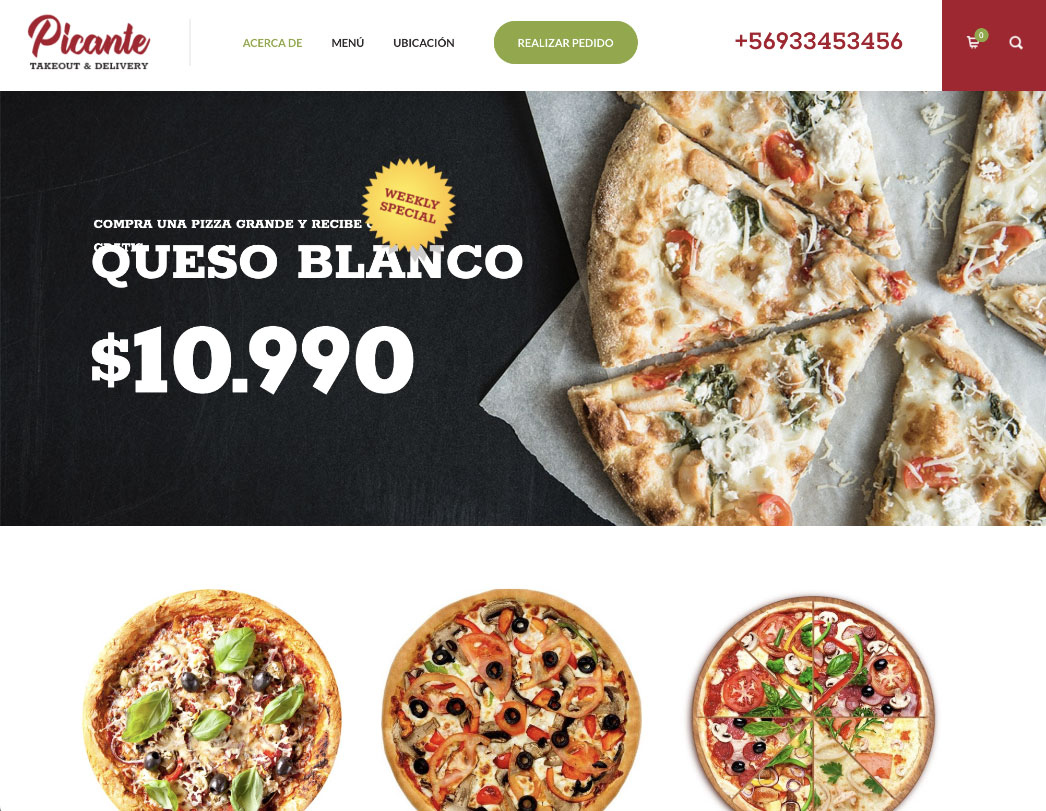 desarrollo web en chile