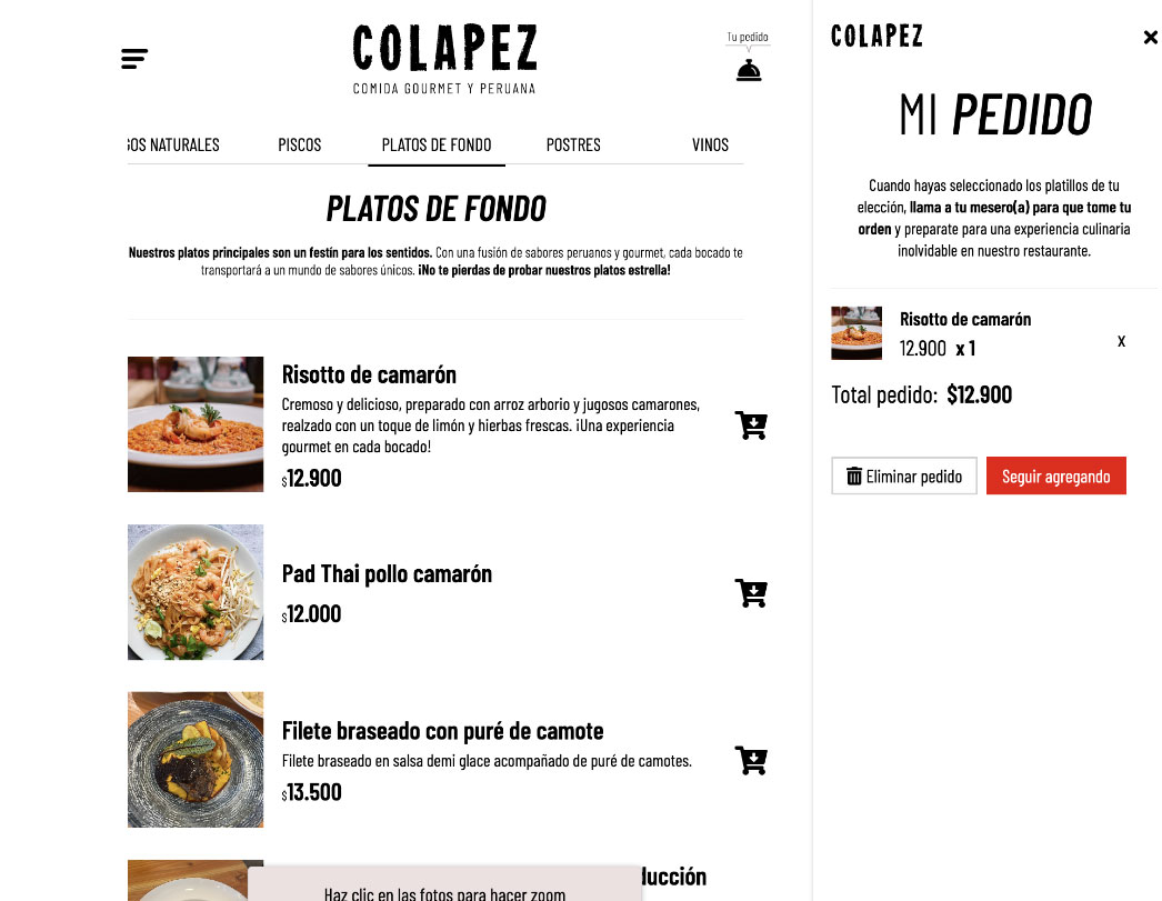 sitios web en chile