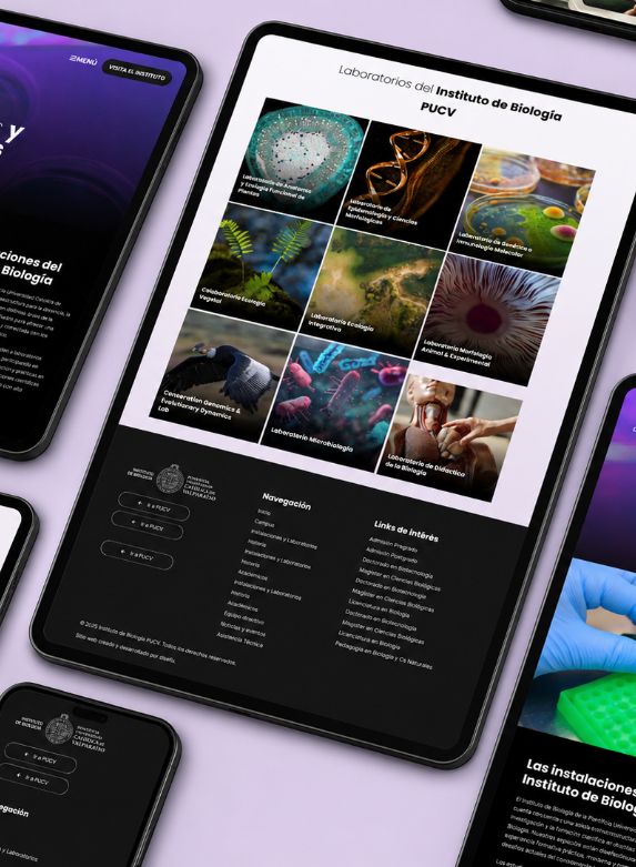 Diseño Web & Conversión