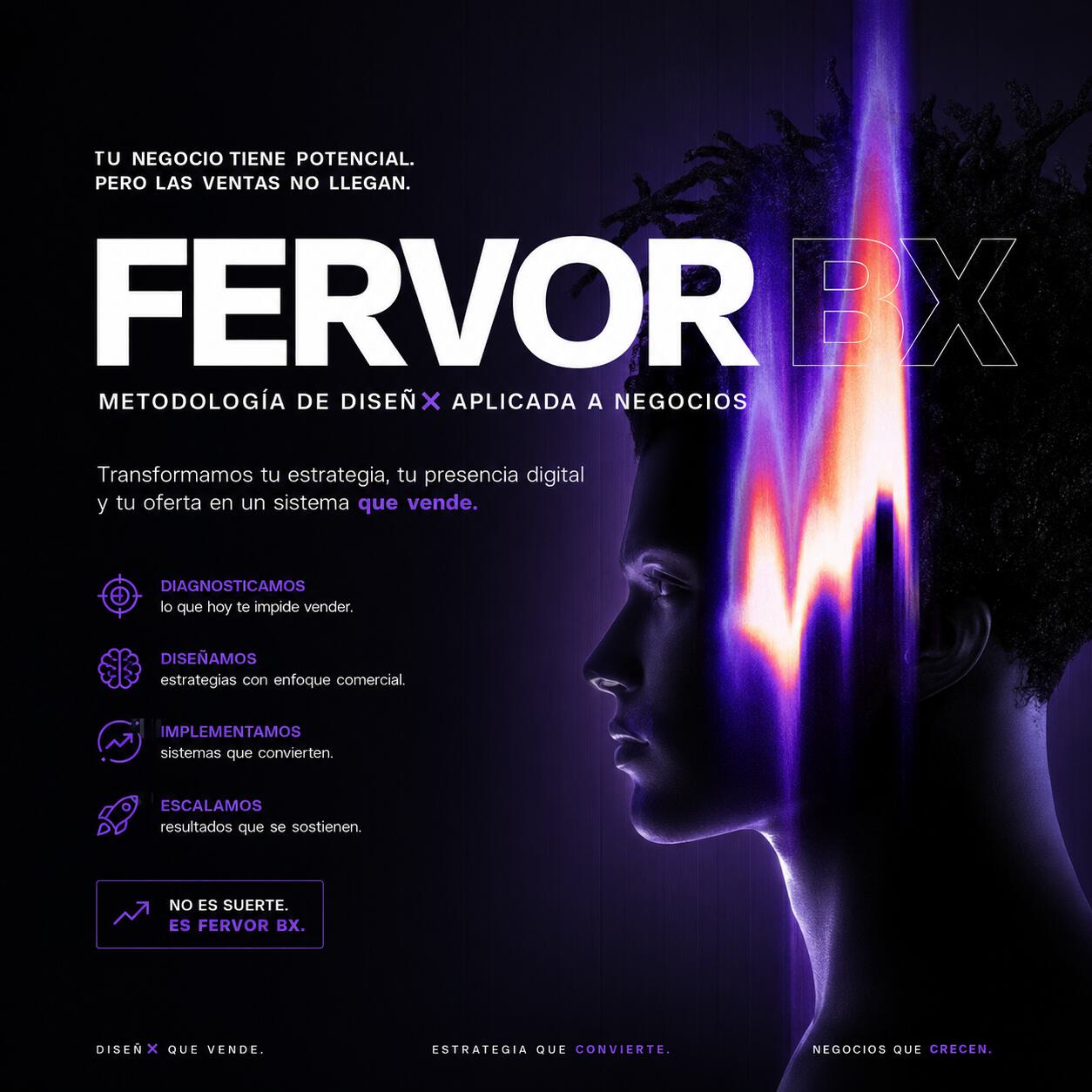 Estrategia ecommerce con Fervor BX en Disefix