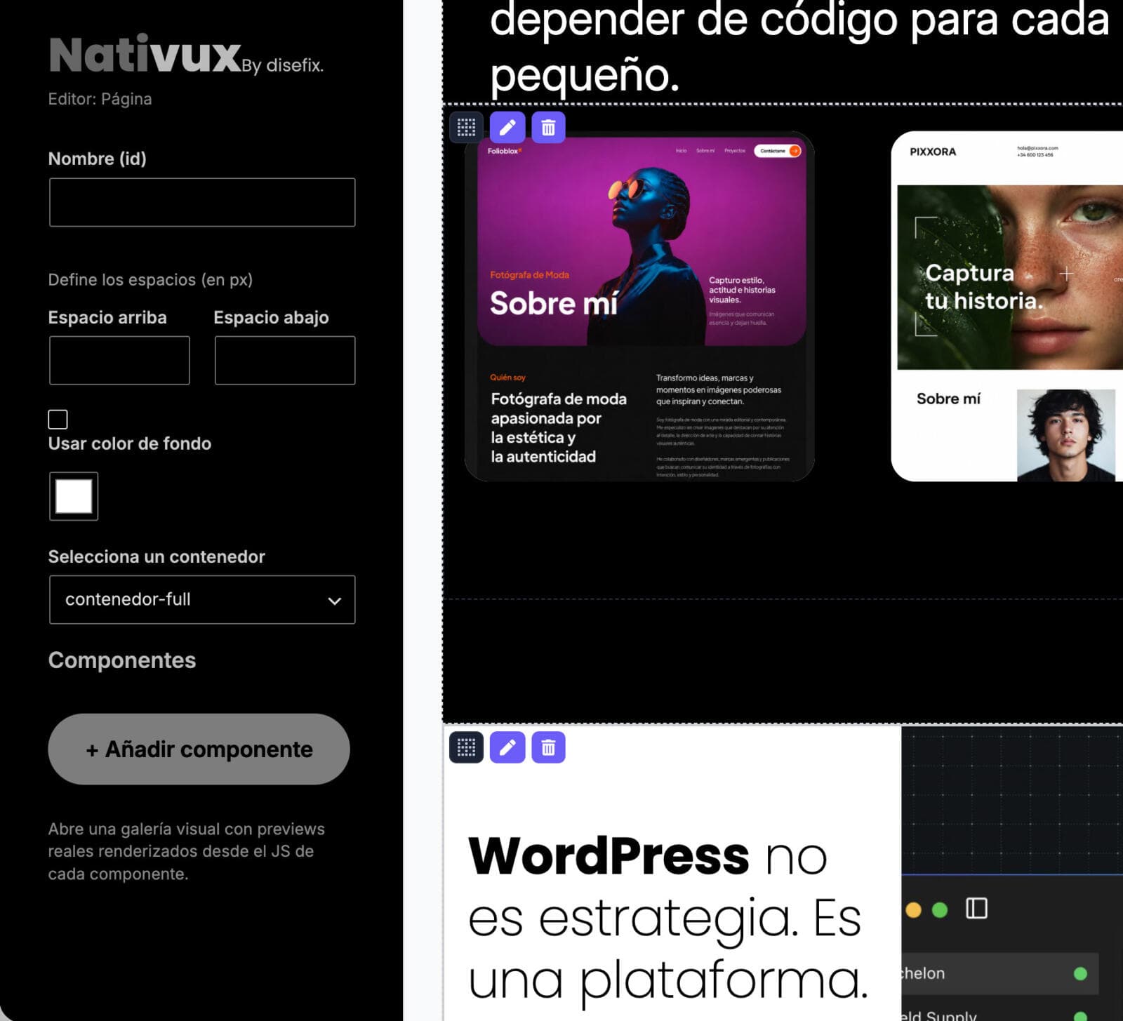 Diseño Web WordPress en Disefix
