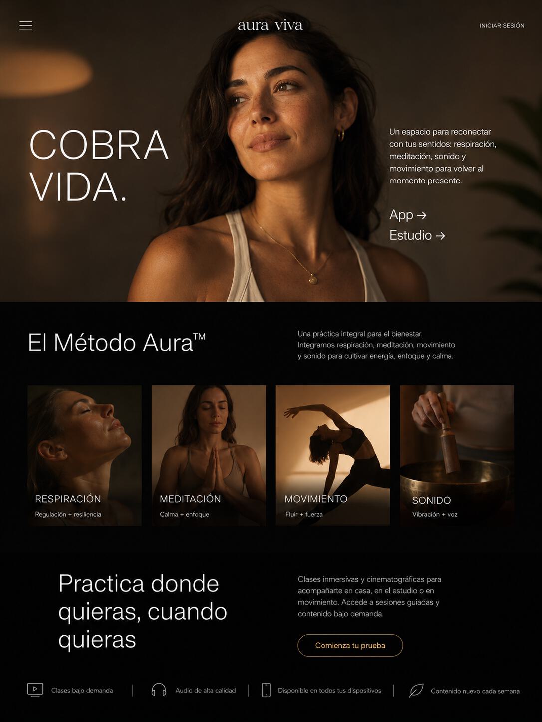 Ejemplo de web de una sola página